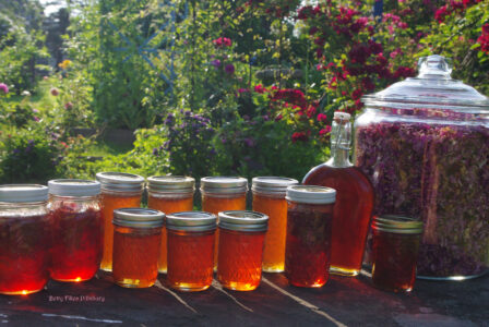 Rose Petal Jelly Recipe Image
